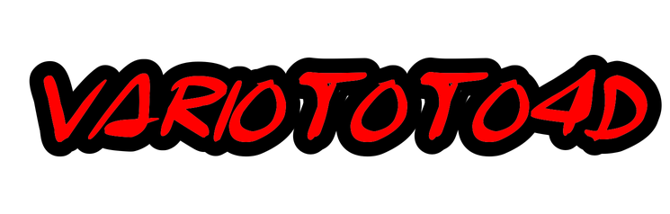 VARIOTOTO4D Logo